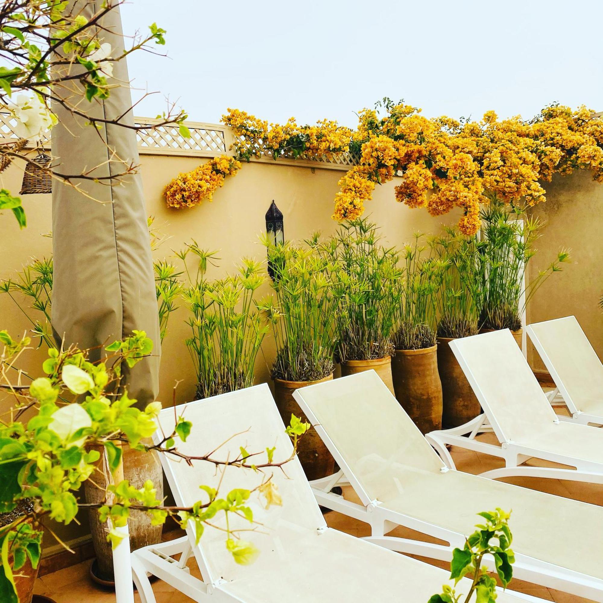 Riad Les Orangers D'Alilia Marakeş Dış mekan fotoğraf