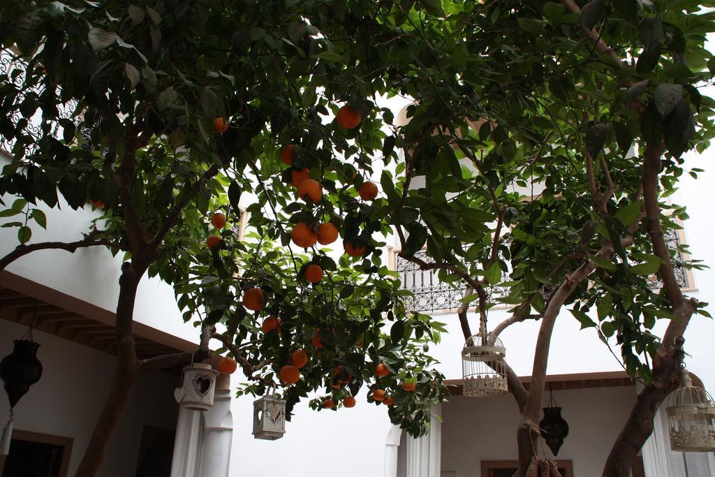 Riad Les Orangers D'Alilia Marakeş Dış mekan fotoğraf