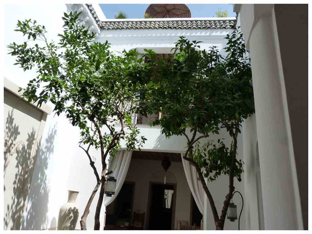 Riad Les Orangers D'Alilia Marakeş Dış mekan fotoğraf